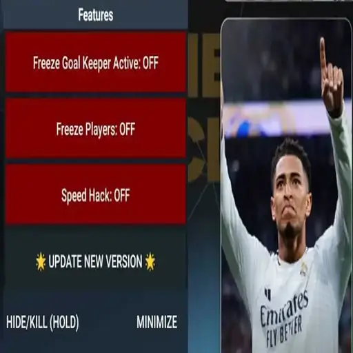 FIFA Injector